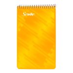 BLOCK TAQUIGRAFIA SCRIBE 5050 RAYA ESP. 80H. LARGO C.(36)